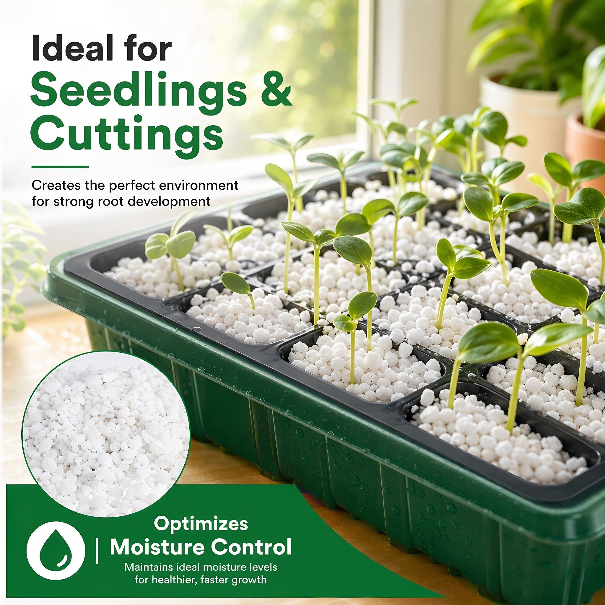 Horticultural Perlite Plant In - Horticulture Soil Perlite ulasan dan harga