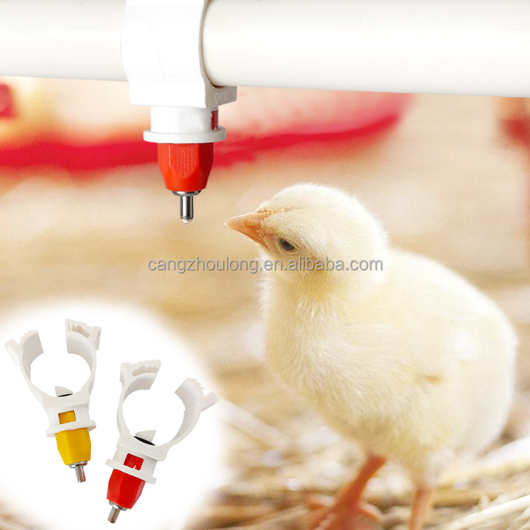 YYW LM44 Hot Sale Farm Use Pla - Chicken Nipple Drinker ulasan dan harga