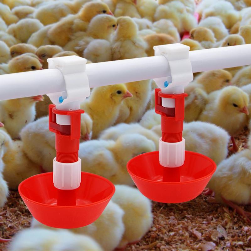 5/10/20 Pcs Automatic Chicken  - Chicken Nipple Drinker ulasan dan harga