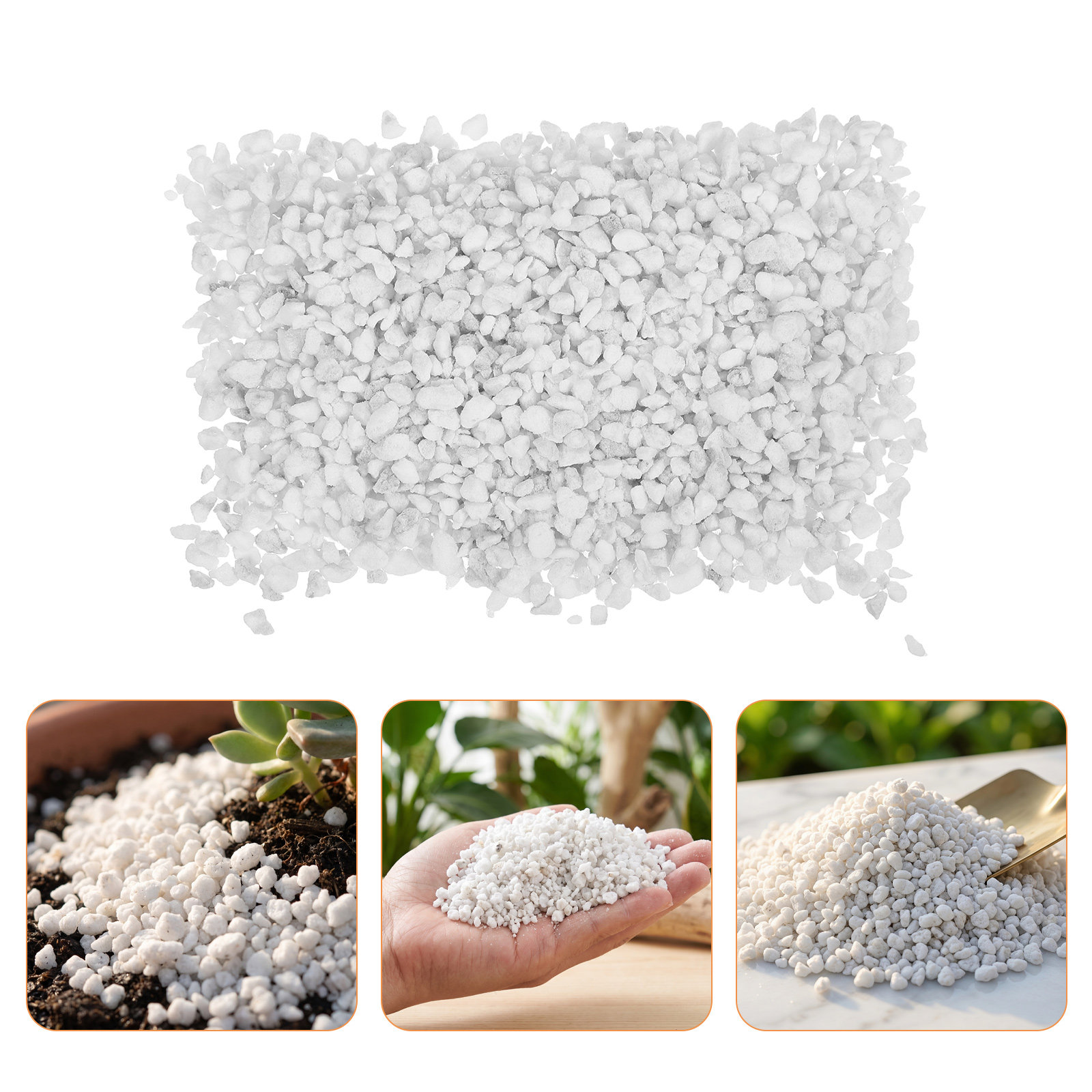Horticultural Perlite Plant In - Horticulture Soil Perlite ulasan dan harga