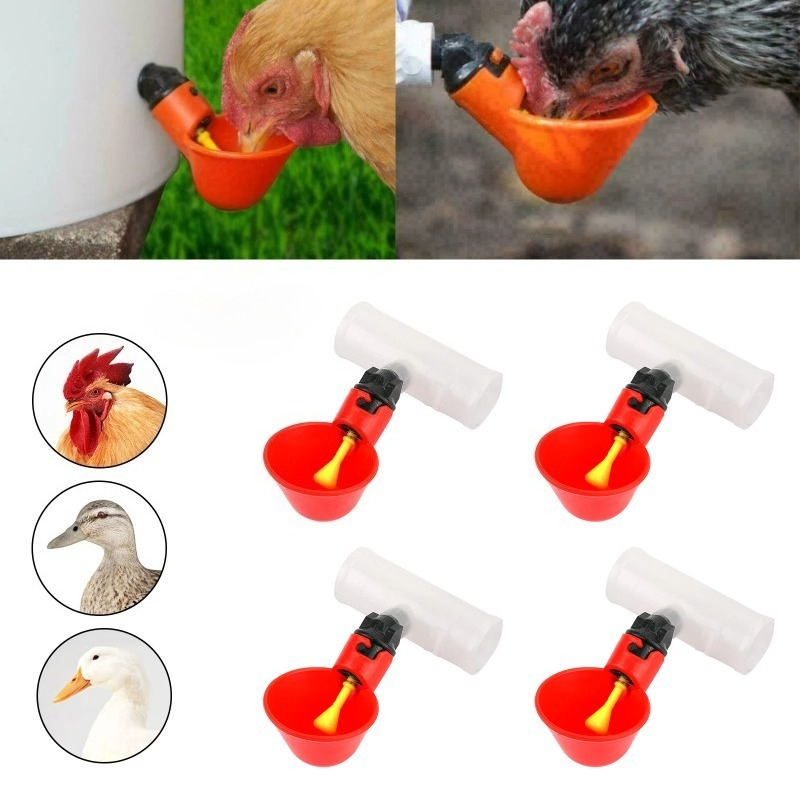4Pcs Automatic Chicken Quail D - Chicken Nipple Drinker ulasan dan harga