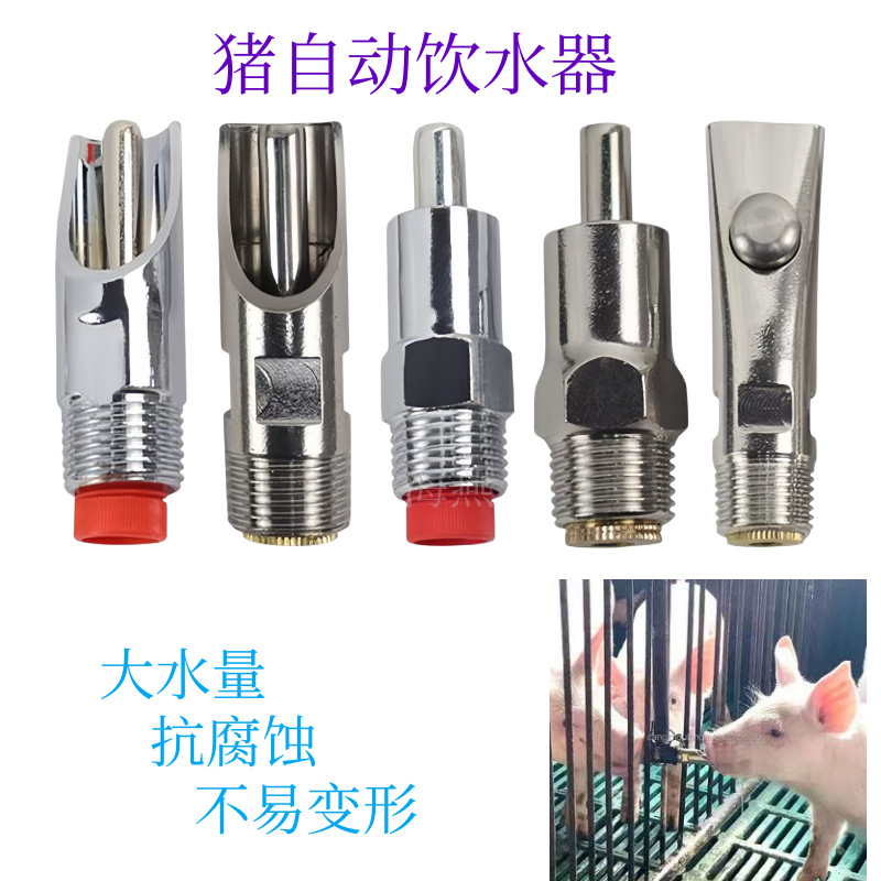 10pcs High Quality Stainless S - Chicken Nipple Drinker ulasan dan harga