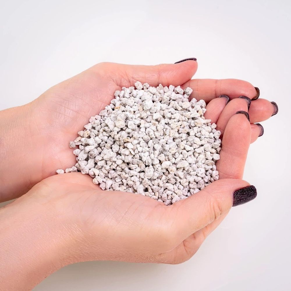 Organic Perlite - Medium Grade - Horticulture Soil Perlite ulasan dan harga