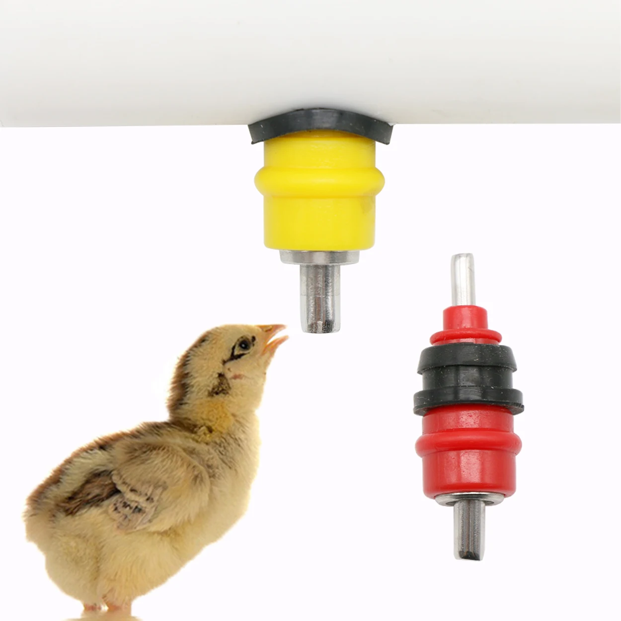 10Pcs Quail Pigeon Bird Watere - Chicken Nipple Drinker ulasan dan harga